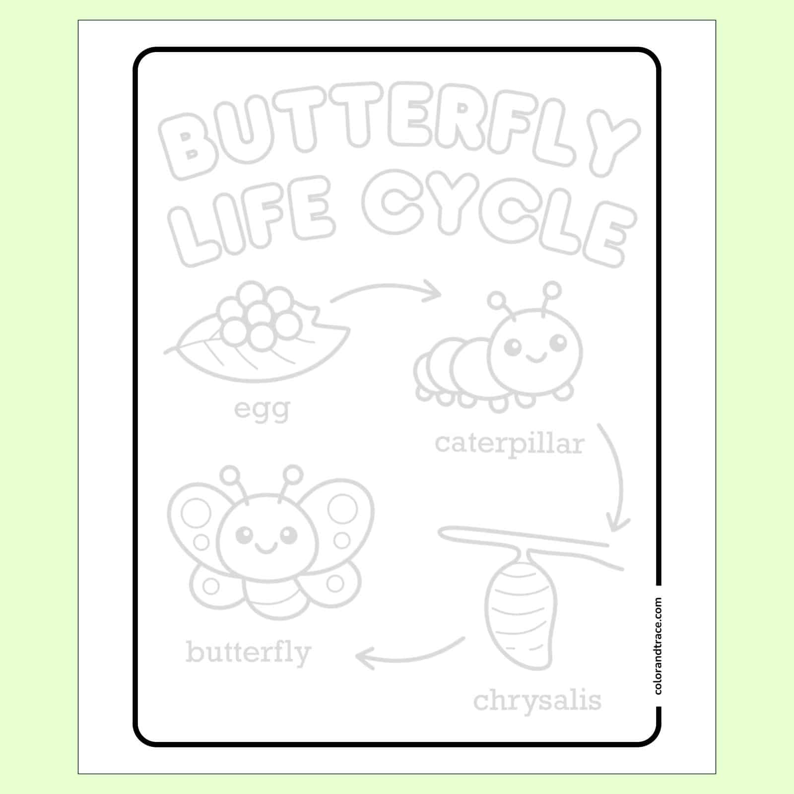 Preview of tracing worksheet titled “Butterfly Life Cycle” with four simple labeled stages—egg on a leaf, smiling caterpillar, chrysalis on a branch, and a happy butterfly.