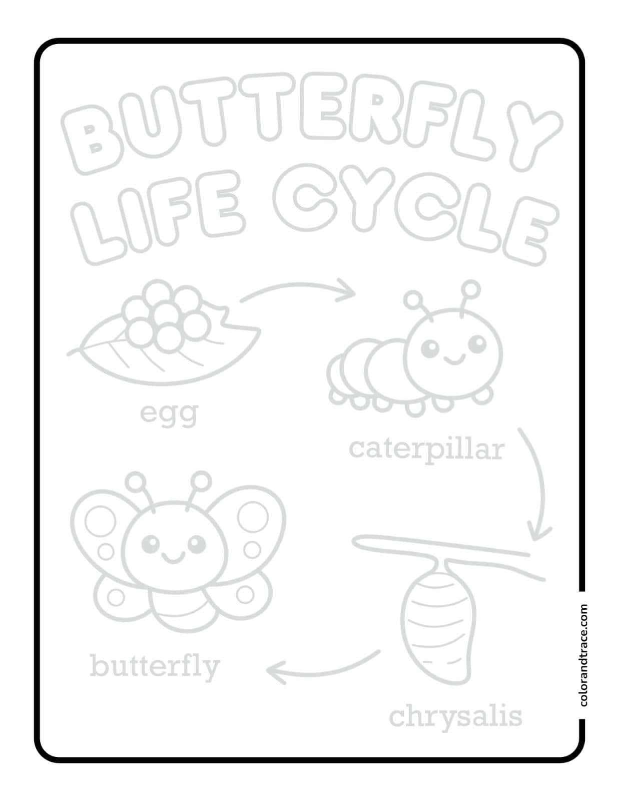 Tracing worksheet titled “Butterfly Life Cycle” with four simple labeled stages—egg on a leaf, smiling caterpillar, chrysalis on a branch, and a happy butterfly.