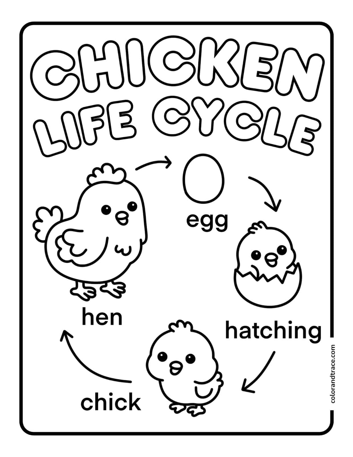 Simple black-and-white coloring page showing the chicken life cycle: egg, hatching egg, chick, and hen arranged in a circular flow with arrows and labels.