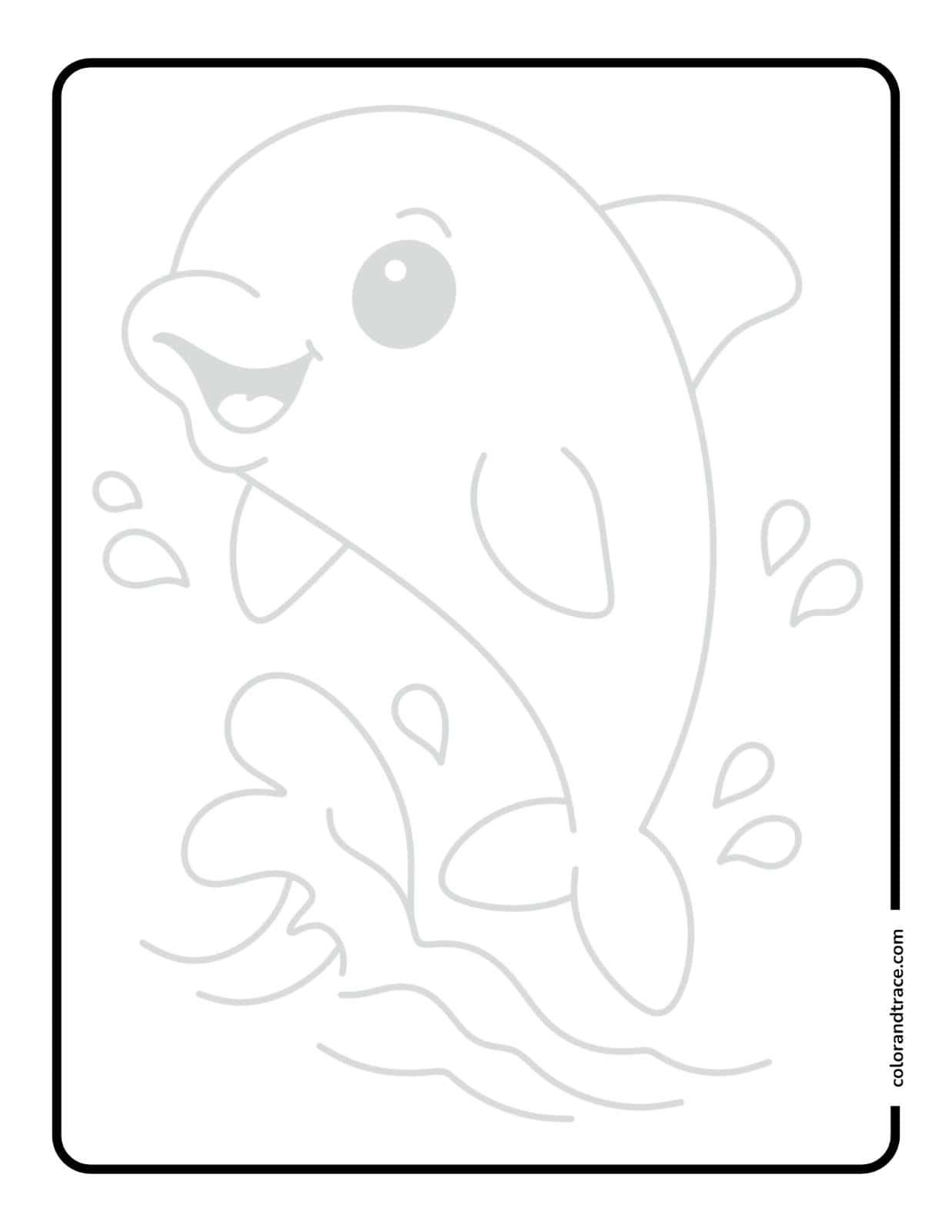 Light gray tracing page showing a smiling jumping dolphin with splashing water and droplet shapes inside a rounded rectangular border.