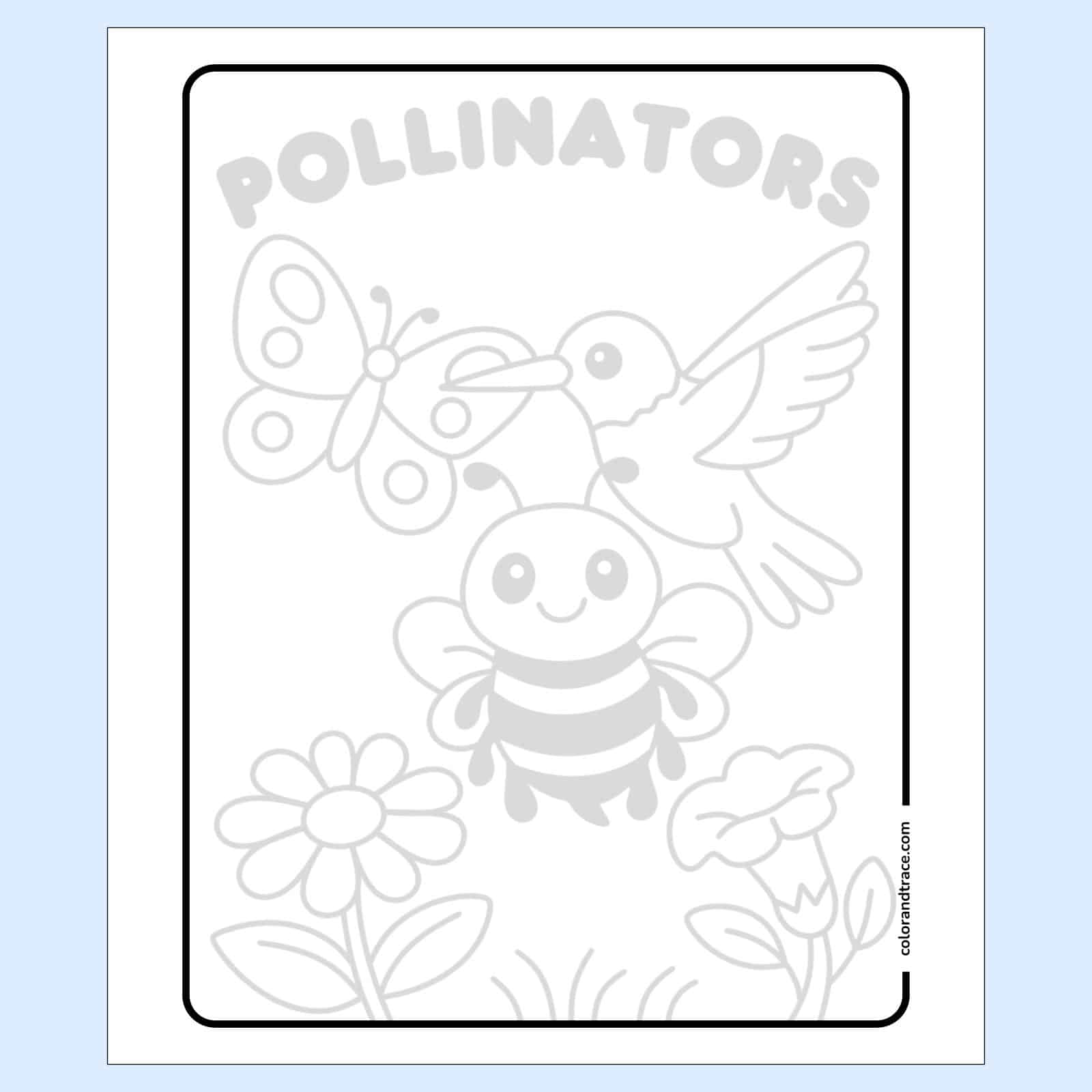 tracing page on a light blue background with title “POLLINATORS” and light gray outlines of a smiling bee, butterfly, hummingbird, and two flowers inside a rounded rectangular border for coloring.
