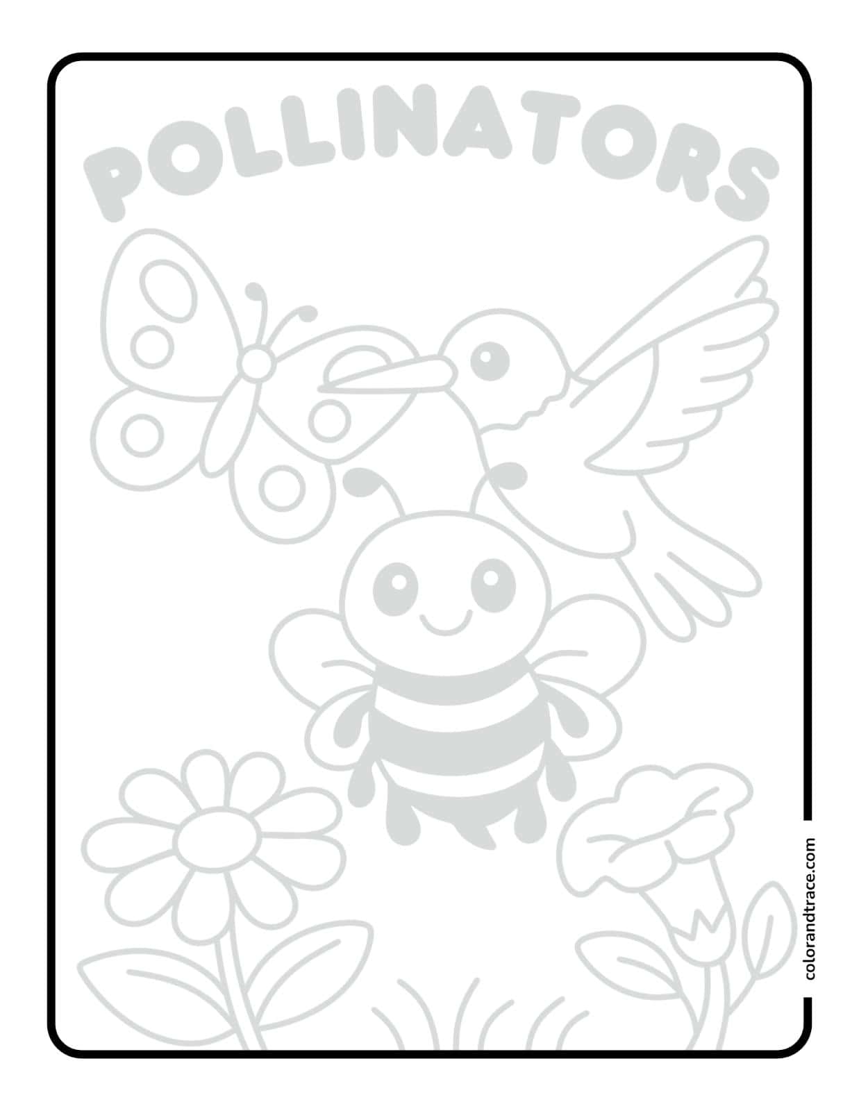 A kid-friendly tracing page titled “POLLINATORS” with light gray outlines of a smiling bee, butterfly, hummingbird, and two flowers inside a rounded rectangular border for coloring.