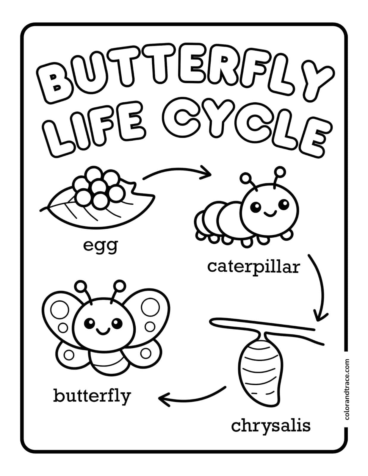 Black-and-white butterfly life cycle coloring page showing labeled stages: eggs on a leaf, smiling caterpillar, hanging chrysalis, and happy butterfly with arrows.