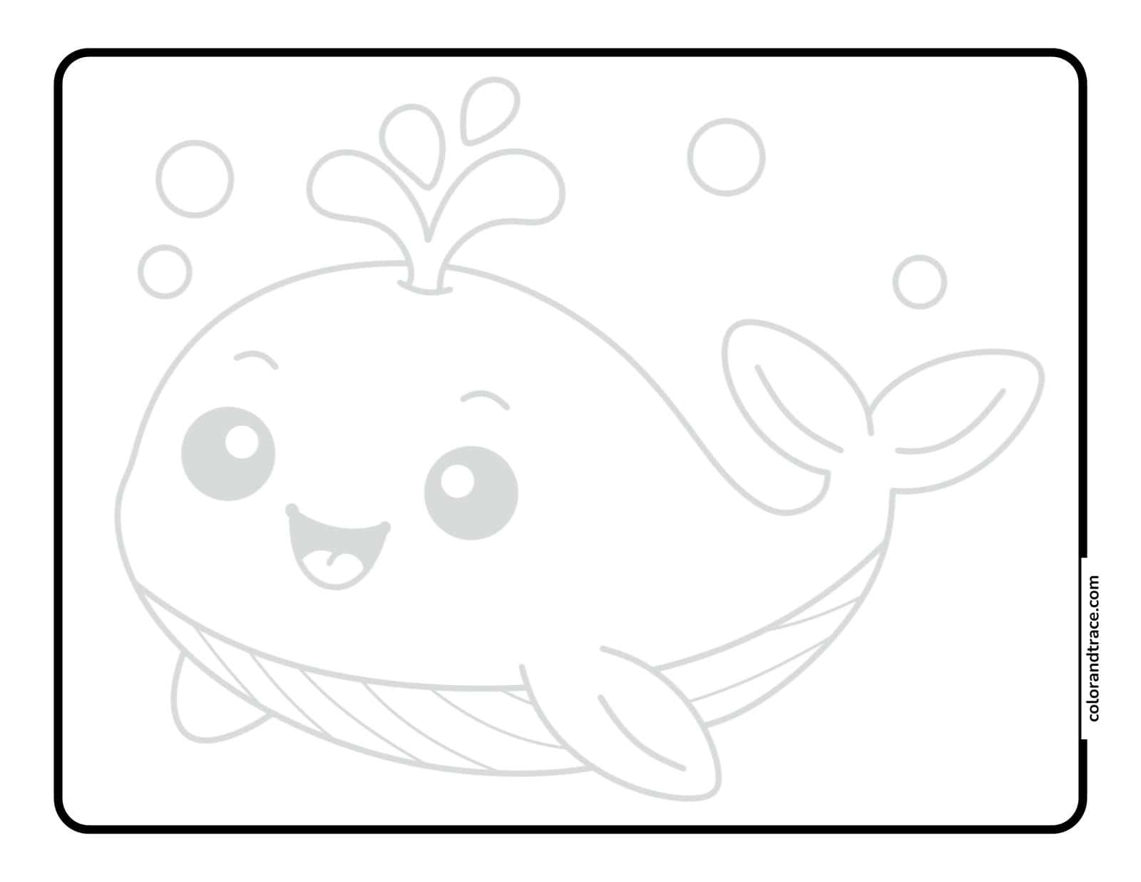 Smiling cartoon whale with a water spout, big round eyes, flippers and tail centered on a bordered tracing page.